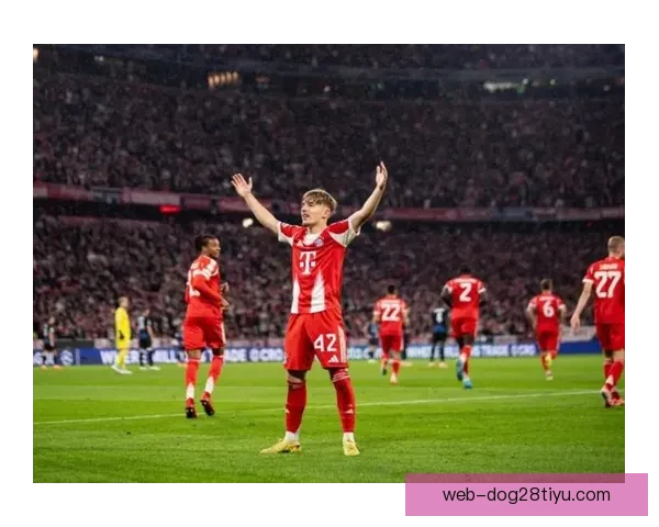 凯恩达成五大联赛三百球里程碑